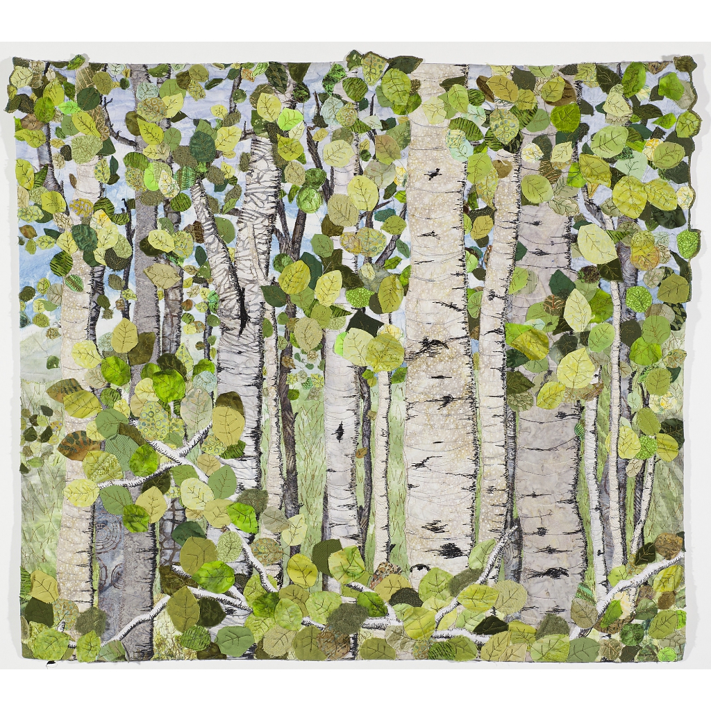 Aspen IV - Sunny Day